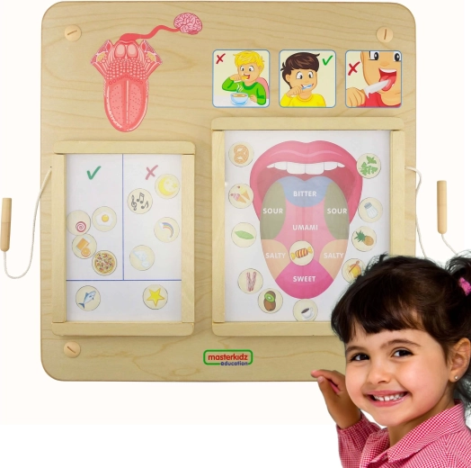 Masterkidz Montessori Educational Board: Taste