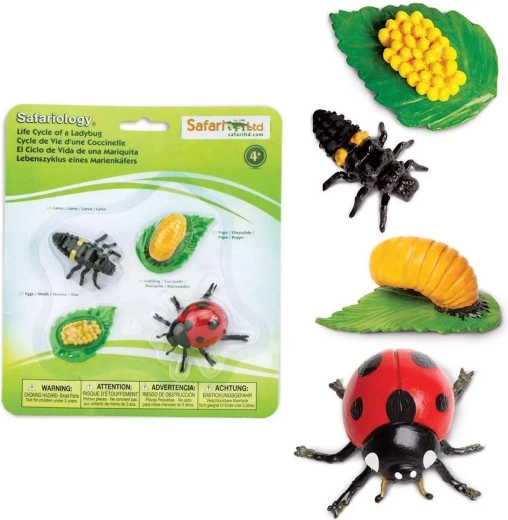 Safari Ltd. ladybug life cycle – set of 4 figurines