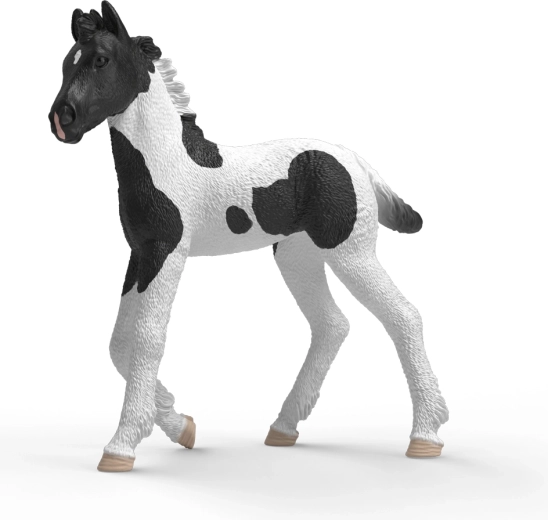 Schleich Horse Club kolekcionarsko ždrijebe Rocky - 1 komad