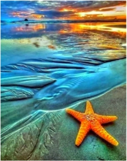 Norimpex diamond painting Starry Coast 30 × 40 cm