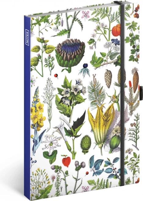Linirani notes Biljke Kateřine Winterove 13 × 21 cm