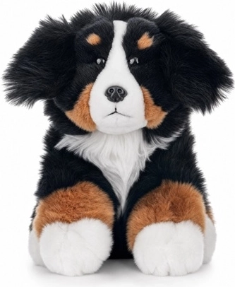 Bernese Mountain Dog 23 cm