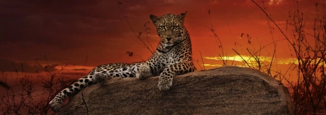 Panoramske puzzle Svitanje u Keniji 2000 dijelova