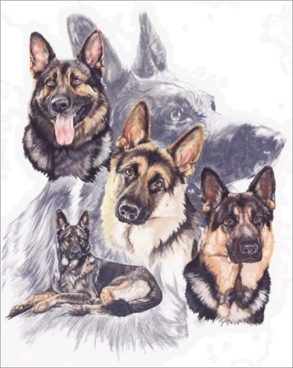 Diamond embroidery (diamond painting) - German Shepherds 30 × 40 cm - 1 piece