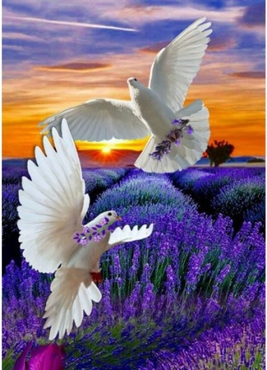 Diamond painting mosaic – two doves 30 × 40 cm