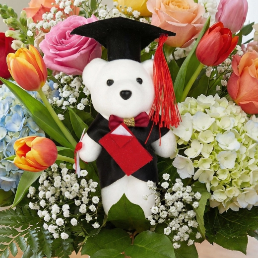Graduation Gift - Teddy Bear for Graduates 13 cm