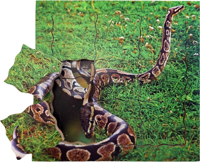 Just Jigsaws Zmija i njezin životni ciklus drvene slojevite puzzle