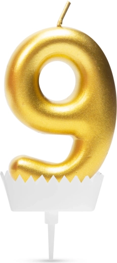 Number 9 Birthday Candle