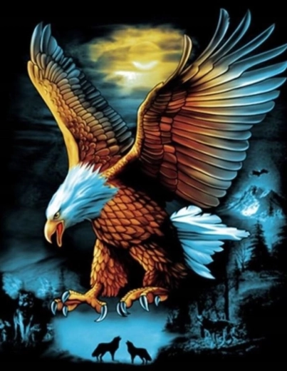 Dijamantno slikanje Orao za punog mjeseca 30 × 40 cm