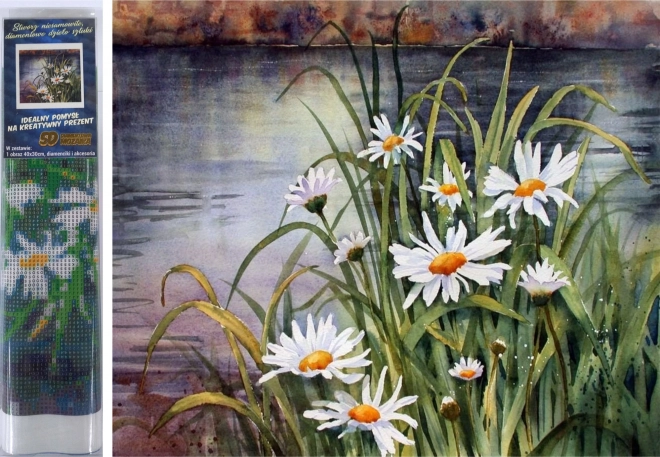 Dijamantno slikanje tratinčica uz vodu 30 × 40 cm