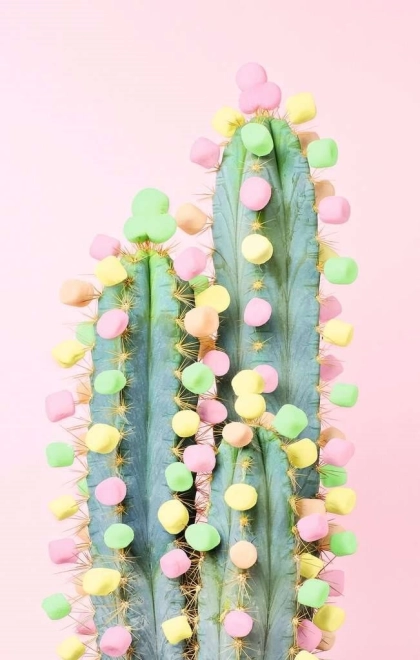 Slagalica RAVENSBURGER Puzzle Moment: Kaktus 200 dijelova