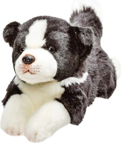 Plišani pas border collie 30 cm