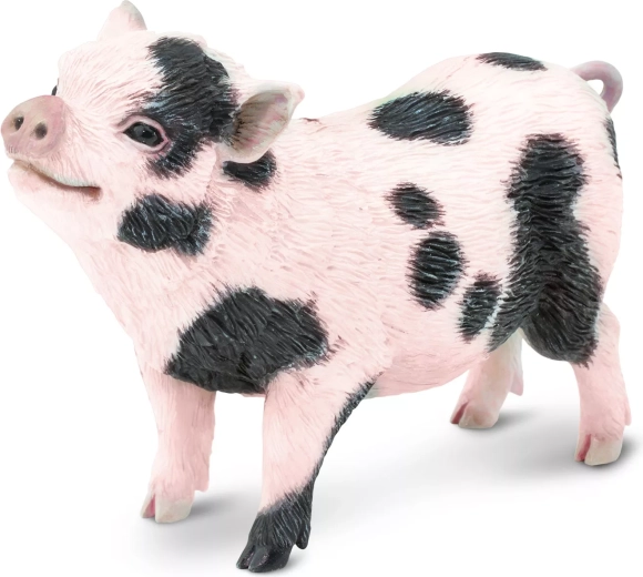 Safari Ltd. Vietnamese pot-bellied pig figurine