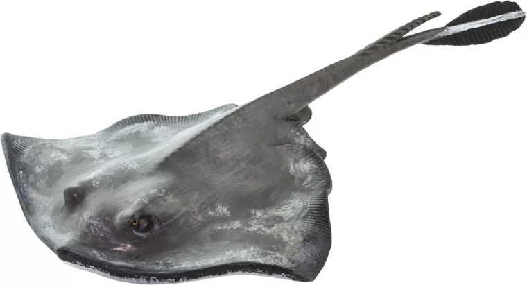 Stingray figure Safari Ltd. - 1 piece