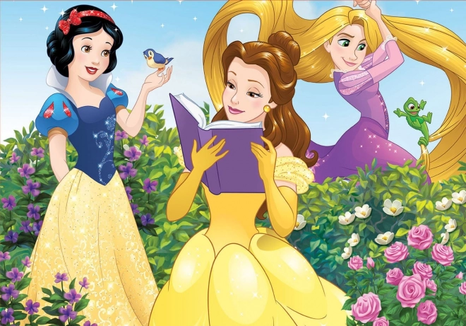 Educa puzzle Disney princeze 100 dijelova