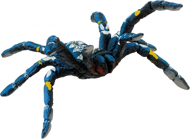 Plava tarantula