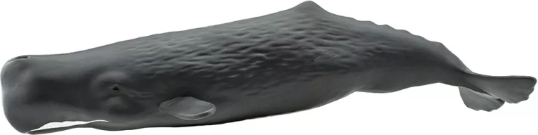 Sperm Whale Figurine Safari Ltd. - 1 piece