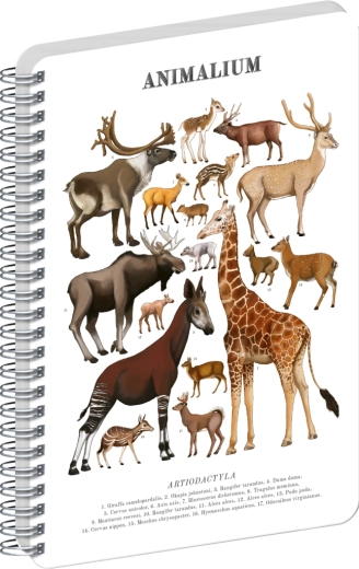 Notique spiralni blok Animalium – parnoprstaši, čisti, A4