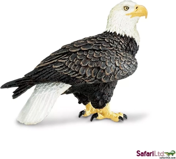 Safari Ltd. Bald Eagle