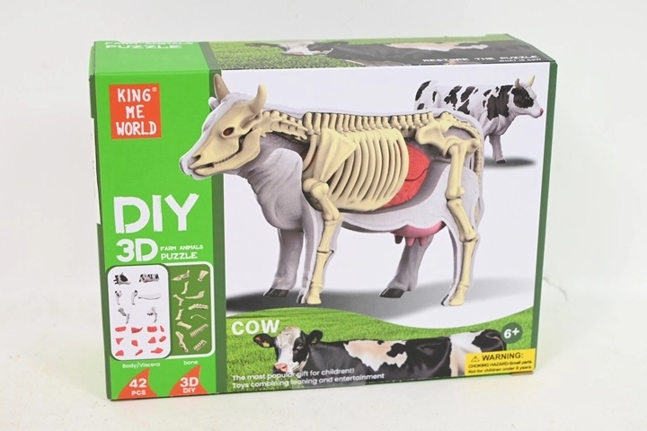 Anatomski model krave za djecu