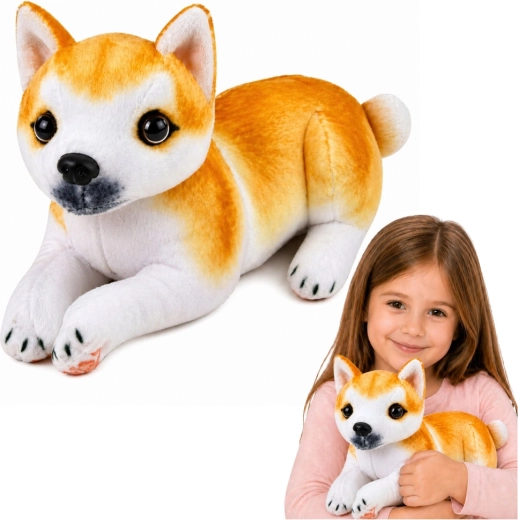 Plišani psić Shiba Inu 25 cm
