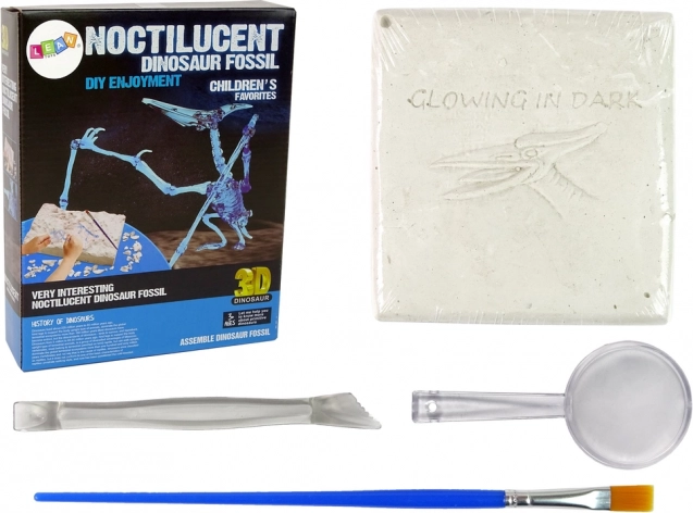 Arheološki set s iskopinama kostura dinosaura - Pteranodon