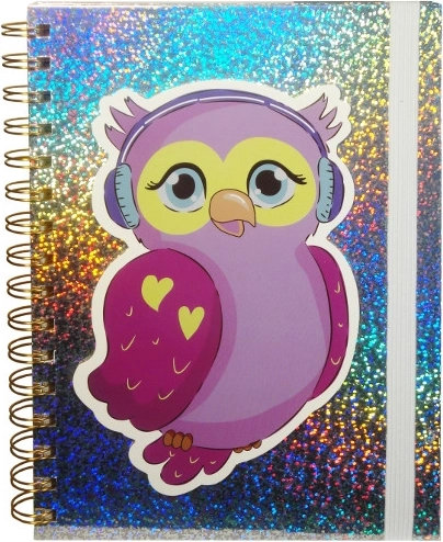 Holografski dnevnik sa sovom s elastičnom gumicom