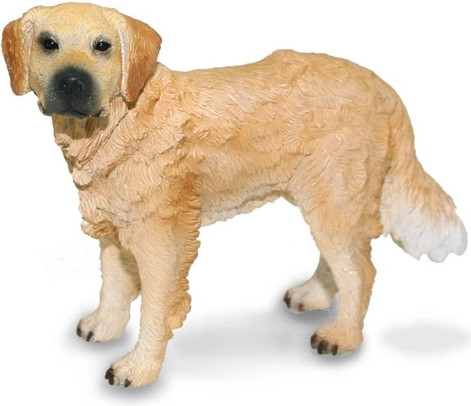 Zlatni retriver Collecta