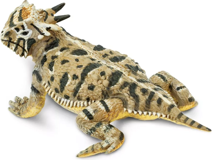 Safari Ltd. horned lizard – realistic lizard figurine - 1 piece