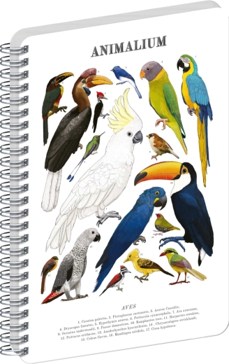 Notique spiralna bilježnica Animalium – ptice, čista, A4