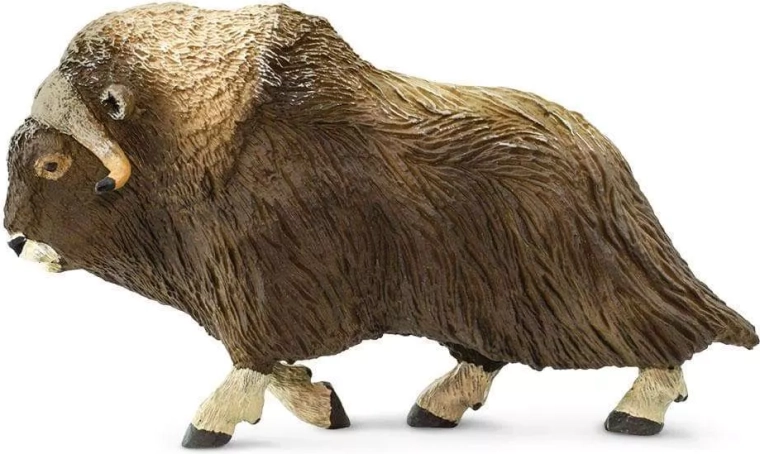 Safari Ltd. musk ox figure