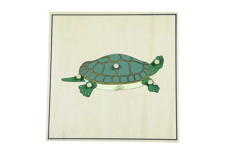 Puzzle s kosturom – kornjača