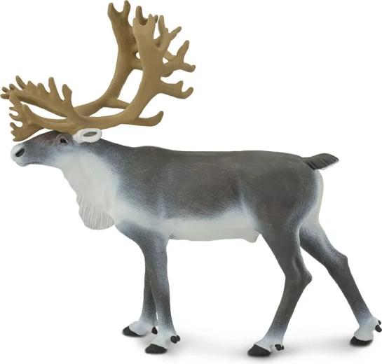Sjeverni jelen Safari Ltd. - 1 komad