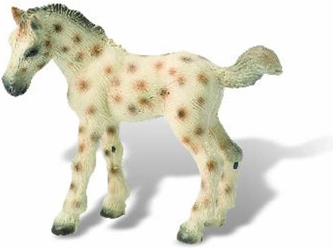 Ždrijebe Knabstrupper