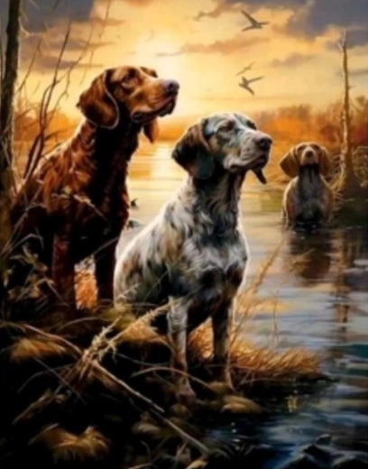 Dijamantno slikanje Močvare 30 × 40 cm