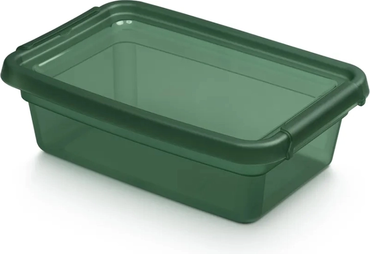 BASESTORE spremna plastična kutija s poklopcem i kopčama 3 l PINE