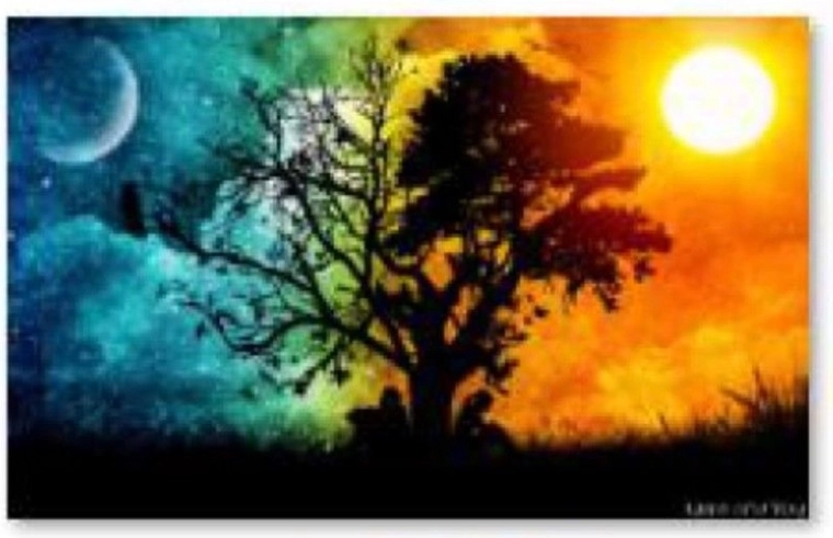 Diamond embroidery (diamond painting) Tree – night and day 40 × 30 cm