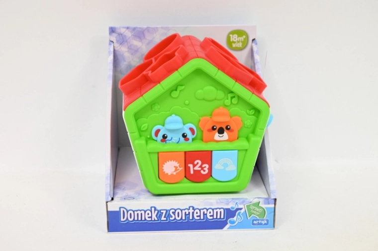 Educational House Shape Sorter