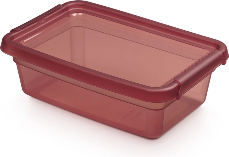 Basestore kutija za pohranu s poklopcem i kopčama 3 l, 19 × 28 × 9 cm, Rhubarb