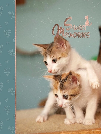 Fotoalbum CONCORDE DXP 4696 za 96 fotografija 10 × 15 cm