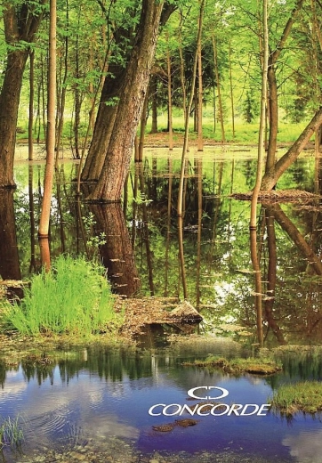 Zapisnička A4 s linijama 8 mm, 200 listova