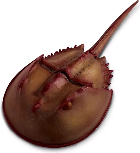 Safari Ltd. Moluccan horseshoe crab figurine