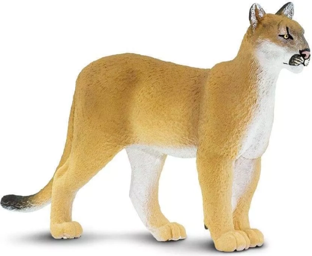 Florida panther figurine Safari Ltd. - 1 piece