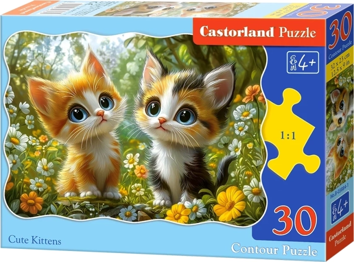 Puzzle Cute Kittens 30 Pieces