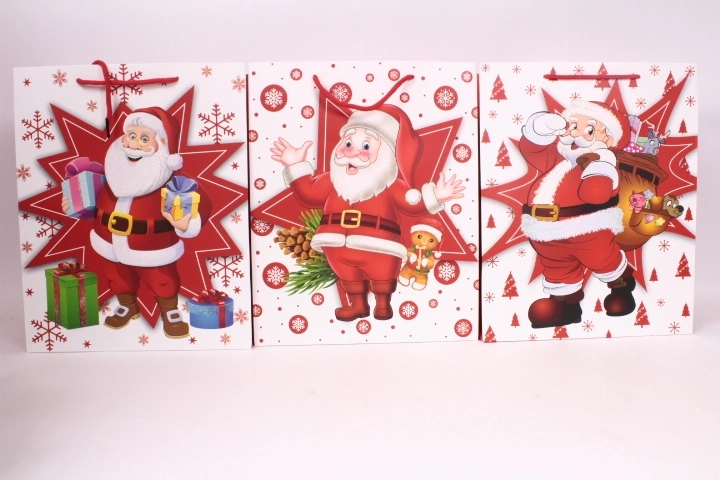 Gift bag with a festive design