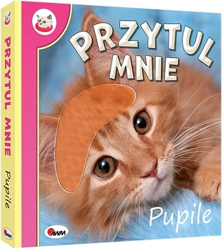 Touch and Feel with Me: Pets – a sensory touch book for little ones