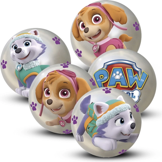 Lopta Paw Patrol 10 cm – display 12 komada