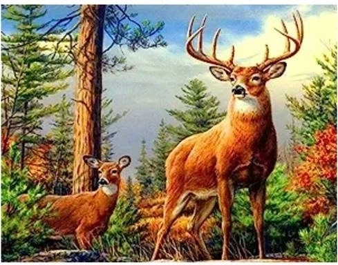 Norimpex dijamantno slikanje Jelen u planinama 30 × 40 cm