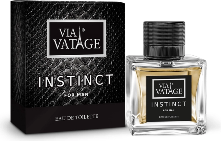 Muška toaletna voda BI-ES Via Vatage Instinct 100 ml