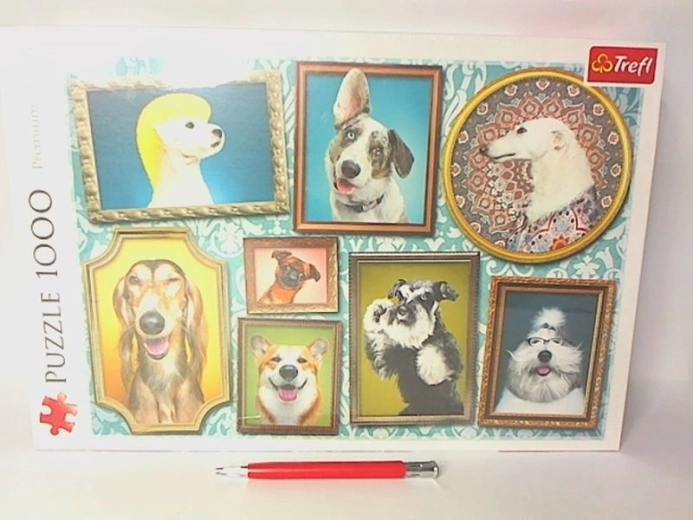 Puzzle galerija pasa 1000 dijelova